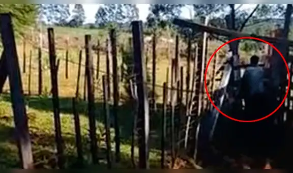 En YouTube, agricultor es captado mientras tiene sexo con vaca [VIDEO]