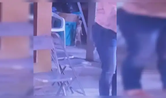 Perro causa sensación en una fiesta al ser captado bailando al ritmo de la música [VIDEO]