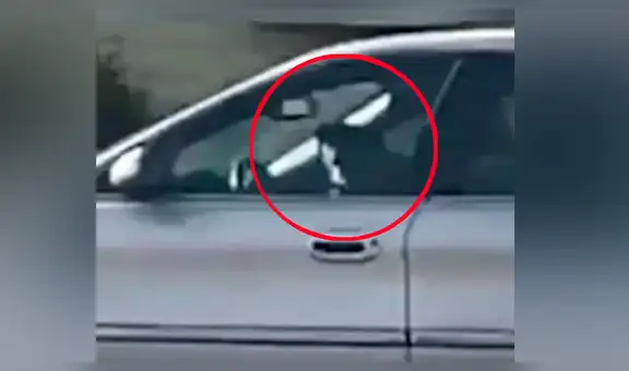 Policías salvan a perro que pasó más de una hora conduciendo el auto de su dueño [VIDEO]