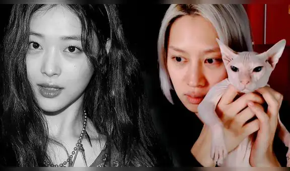 Heechul de Super Junior confirmó que cuida al gato de Sulli