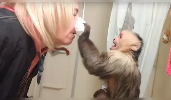 Facebook: Tierno mono hace de doctor y ayuda a su dueña con terrible enfermedad [VIDEO] 