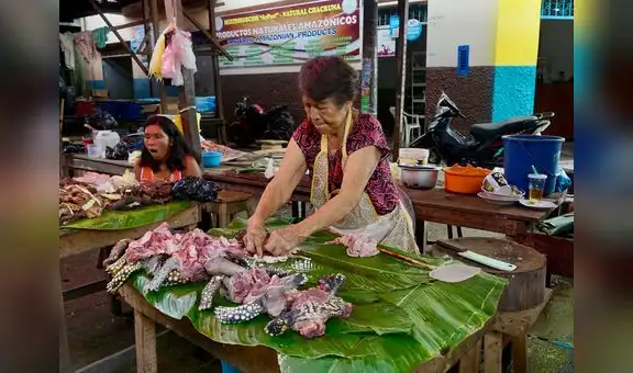 El virus mortal que podría surgir en la Amazonía