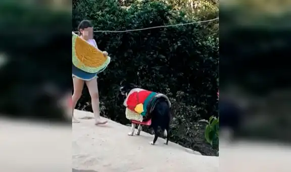 Madre regresa a casa y descubre a su perro ayudando a escondidas a su hija en sus tareas [VIDEO]