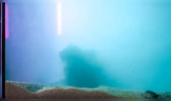 ¿Qué ocurre si derramas lava en un acuario lleno de agua? Experimento sorprende a miles [VIDEO]