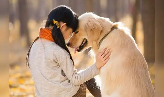 PETA considera “mascota” una palabra ofensiva para tu perro