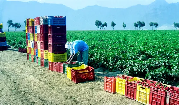 La Libertad con millonarias pérdidas por los bloqueos
