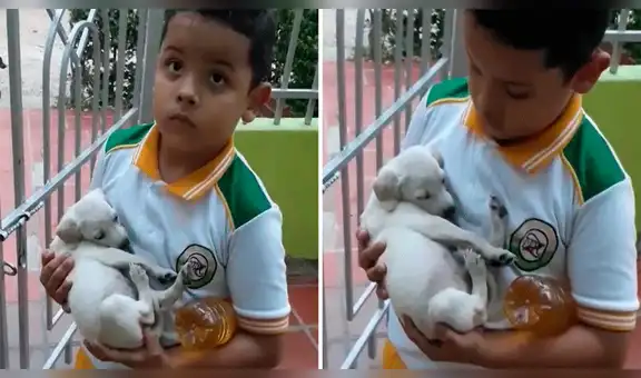 Niño es enviado a comprar a la tienda y regresa a casa con un cachorro en brazos [VIDEO]