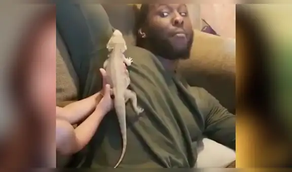 Niño adopta un reptil como mascota, se lo presenta a su padre y él tiene divertida reacción [VIDEO]