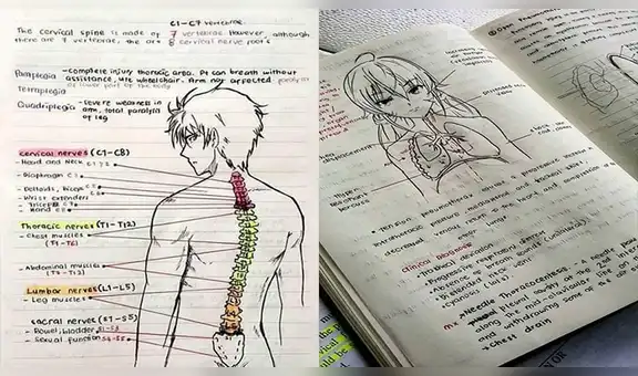 Facebook viral: joven otaku estudia medicina y dibuja animes en sus trabajos universitarios [FOTOS]