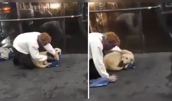 Joven se quita la ropa y se la coloca a un perro callejero que tenía frío [VIDEO]