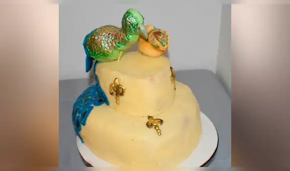 Novia pide lujoso pastel para su boda por Internet, y la estafan con una torta horrible [FOTOS]