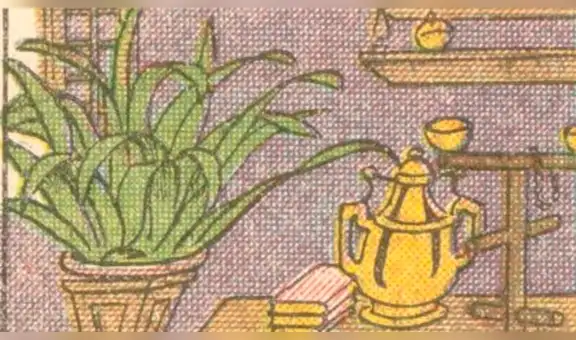 ¿Puedes ver al loro camuflado en la imagen? El nuevo reto visual que casi nadie supera [FOTOS] 