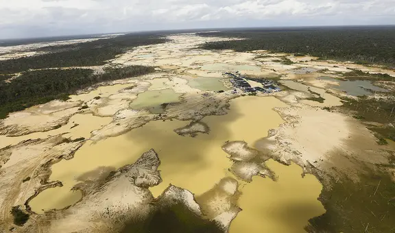 Dos proyectos del Congreso ponen en riesgo a bosques y a los nativos en aislamiento
