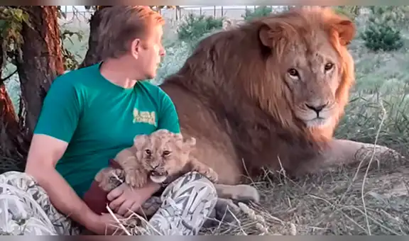 YouTube viral: osado guardia toma cachorro león en sus brazos y su padre reacciona [VIDEO]