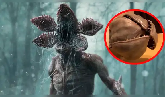 Facebook: 'Gato Demogorgon' enloquece a fanáticos de Stranger Things por su apariencia [VIDEO]