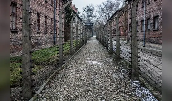 El horror de Auschwitz