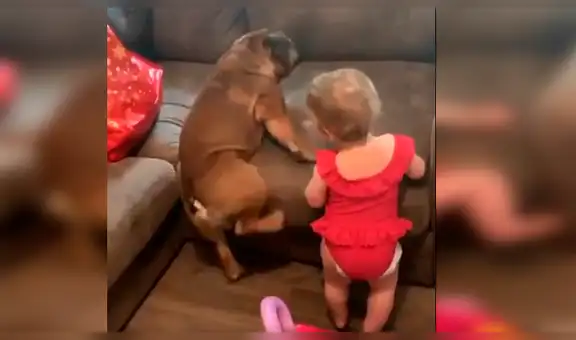 Bebé imita a perro que intenta subirse a sofá y protagoniza tierna escena [VIDEO]