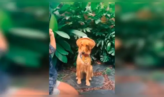 Joven recrea escena de ‘Toy Story’ junto a su perro y cautivan con sus actuaciones [VIDEO] 