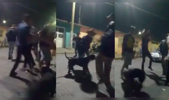 Jóvenes ‘poguean’ escuchando metal y perro callejero se une a la ‘fiesta’ [VIDEO]