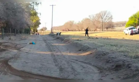Argentina: detienen a hombre que atropelló varias veces a un perro callejero hasta matarlo 
