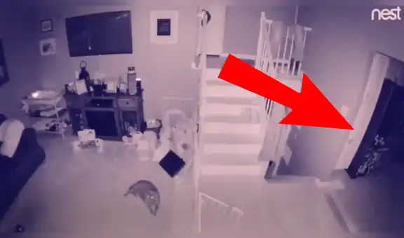 Coloca cámara de seguridad y descubre el espeluznante 'ser’ que lo asechaba cada noche [VIDEO]