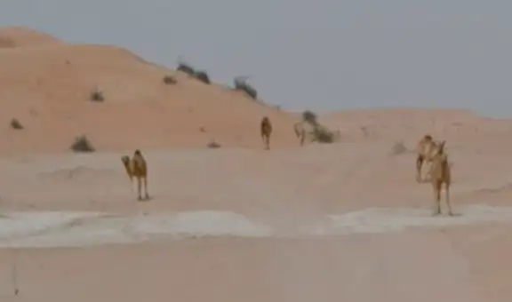 Google Maps: hace zoom en desierto de Emiratos Árabes y realiza asombroso hallazgo [FOTOS] 