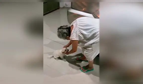 Anciana se despide de su perro y este tiene dramática reacción al verla alejarse [VIDEO]