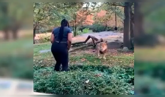 Mujer ingresa a exhibición de leones, se acerca a uno de los depredadores y este la sorprende con insólita reacción [VIDEO]