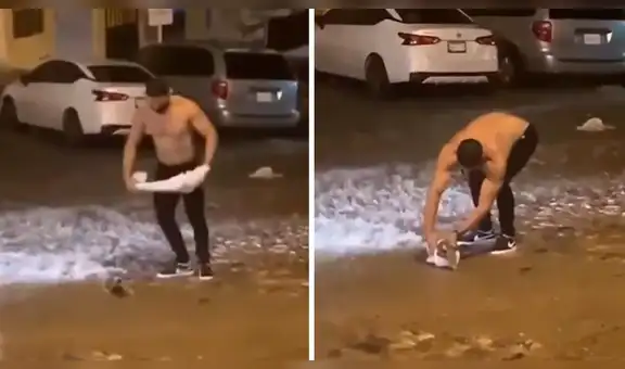 Encuentra a una zarigüeya herida en plena calle y le brinda su ropa para salvarle la vida [VIDEO]