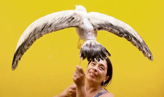 Lima será sede de festival de marionetas