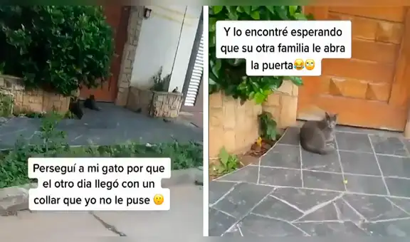 Descubre que su gato tiene un collar distinto, lo persigue y se entera que este tiene otra familia [VIDEO]