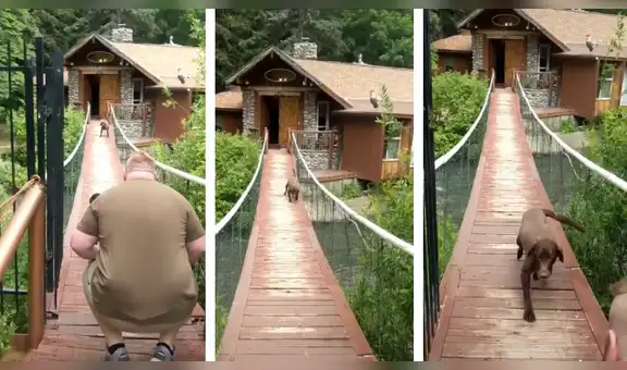 Ayuda a su perro a perder el miedo a las alturas y lo anima a cruzar un enorme puente [VIDEO] 