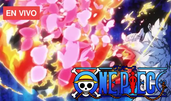 One Piece, episodio 955: dónde y cómo ver el nuevo capítulo del anime