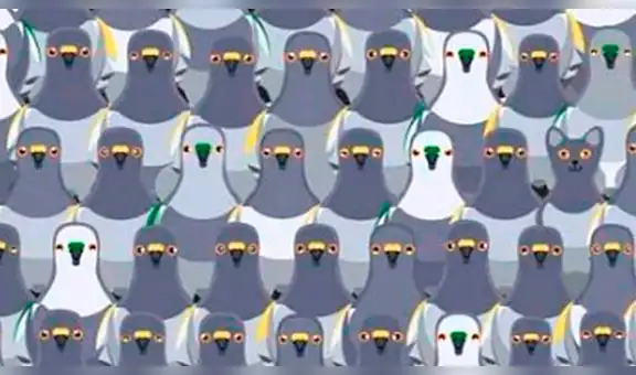 ¿Ves al gato oculto entre las aves?: El nuevo reto visual que es difícil de superar [FOTOS]