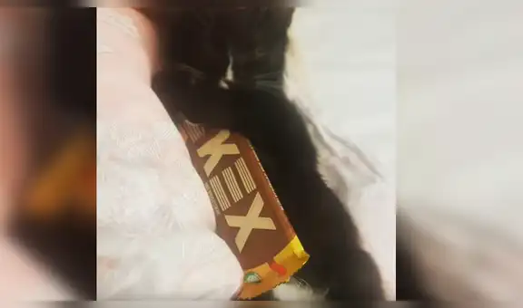 Gato duerme abrazado a un chocolate y conmueve las redes sociales [VIDEO]