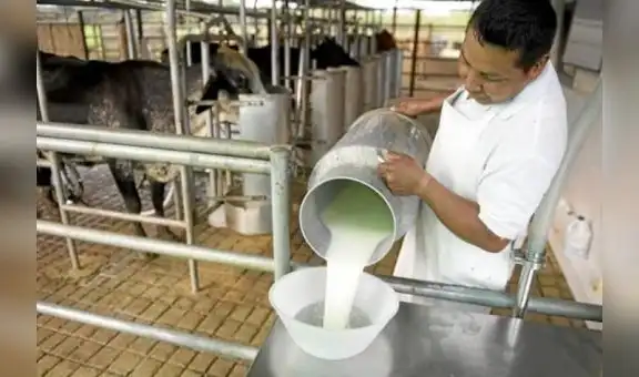 Día Mundial de la Leche: Consumo per cápita anual en el Perú llega a los 87 litros