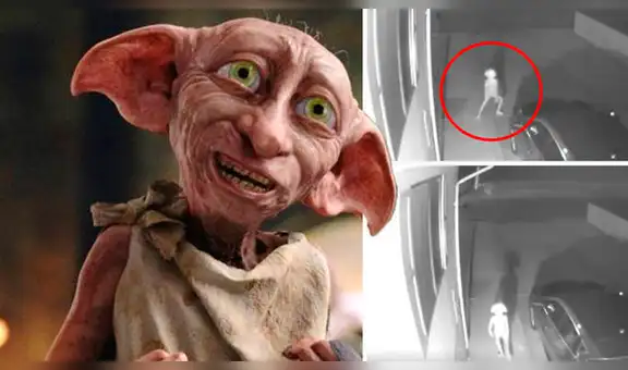 ¿Te acuerdas a la extraña criatura que parecía ‘Dobby’? Se acaba de revelar su identidad [VIDEO]