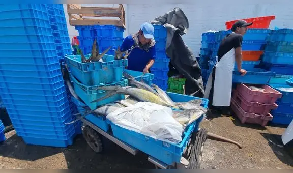 Abastecimiento y venta en el terminal pesquero del Callao continúa con normalidad pese a fuertes oleajes