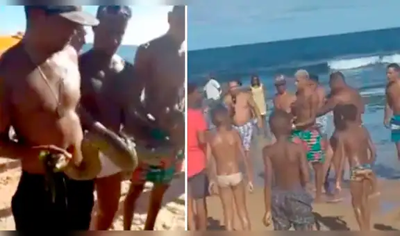 Bañistas se topan con descomunal anaconda que emergió del mar y aterró a miles [VIDEO]
