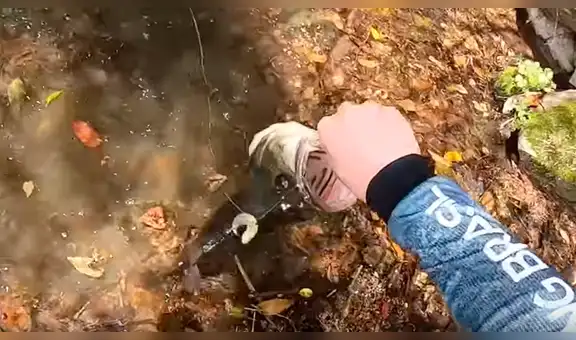 YouTube viral: pescador mete la mano dentro de río, sin imaginar que ‘criatura’ emergería del agua [VIDEO]