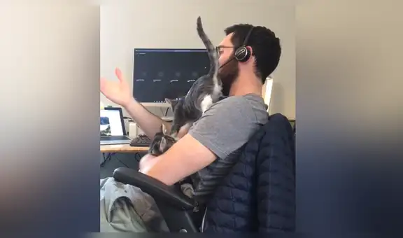 Joven hace teletrabajo, pero es constantemente interrumpido por su travieso gato [VIDEO]