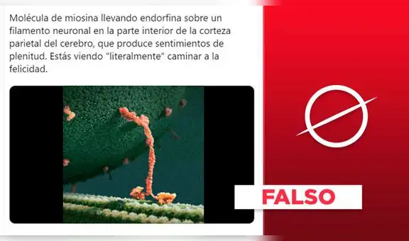 No es cierto que el video muestre “literalmente caminar a la felicidad"