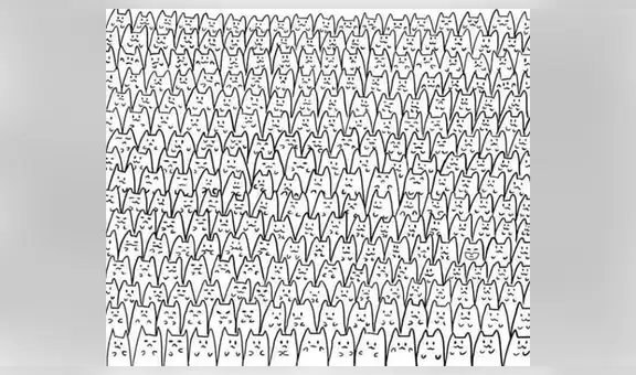¿Puedes ver a Batman oculto entre los gatos? El reto visual que pocos han superado [FOTOS]