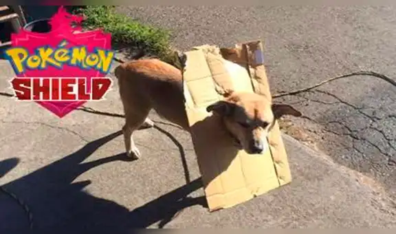 Pokémon Shield and Sword: nuevo juego de Pokémon provoca graciosos memes [FOTOS]