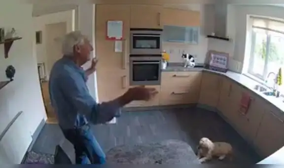 Revisa cámara de seguridad y descubre a su padre en tierna escena junto a sus mascotas  [VIDEO]