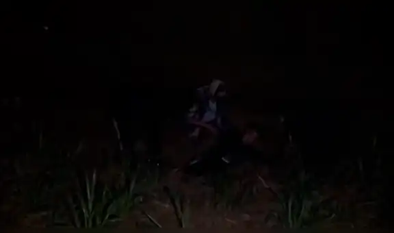 Jóvenes hacen transmisión en vivo dentro de bosque y cámaras captan misteriosa criatura en la oscuridad [VIDEO]