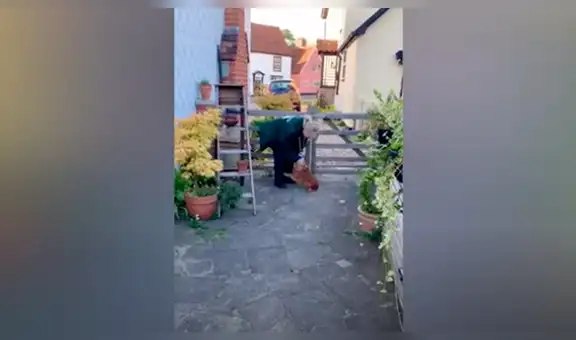 Enfermera regresa a su casa y recibe amorosa bienvenida de su perro [VIDEO] 