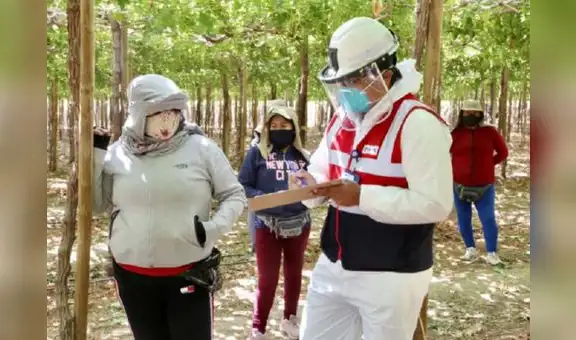 Sunafil designa a nuevo superintendente en Ica tras paro agrario