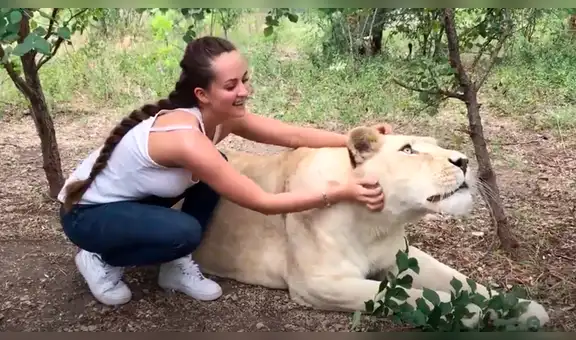 YouTube viral: Entra a calabozo de feroz depredador y este asombra a todos con una insólita reacción [VIDEO]