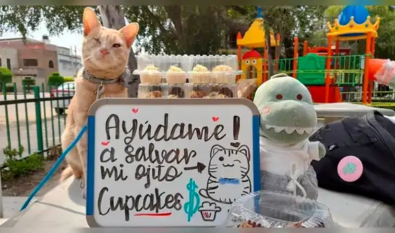 Joven vende cupcakes en la calle para pagar una operación de su gato y que no quede ciego [VIDEO]